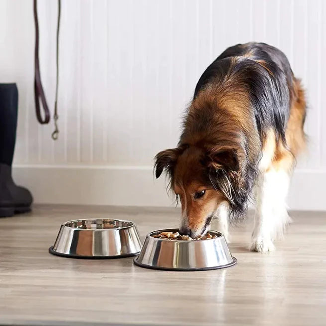 Comedouro e Bebedouro Inox para Pet, Gato, Cachorro e Diversos Tamanhos!