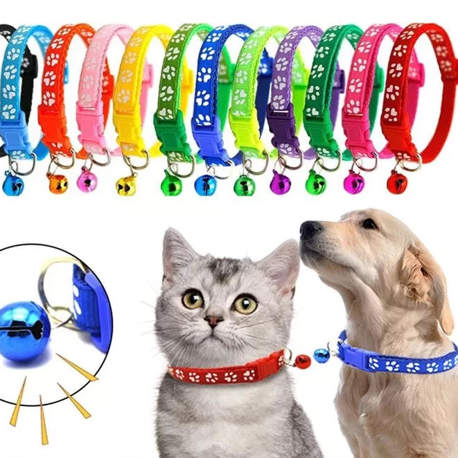 Coleira de Gato com Sino e Colorida - Circunferência do pescoço de 19-32cm