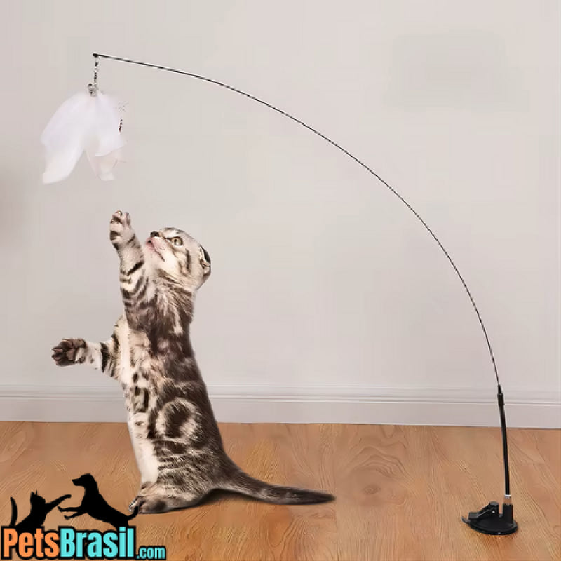 Brinquedo Interativo para Gatos com Ventosa